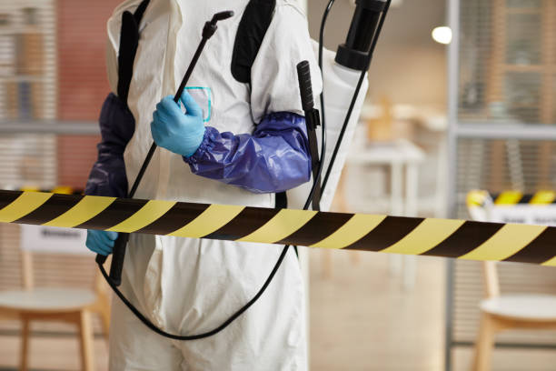 Professional Odor Removal technician working in Baltic, CT